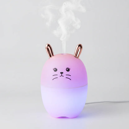 Mini Humidificateur d'Air Mignon USB 220ml